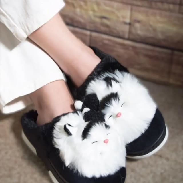 پاپوش زنانه گربه کلاهدار